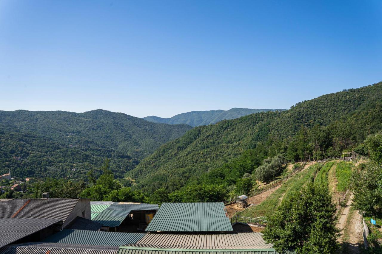 01234 - Agriturismo La Marpea, Esperienza In Mezzo Alla Natura E Al Cibo Tipico Italiano Villa Terisso Bagian luar foto